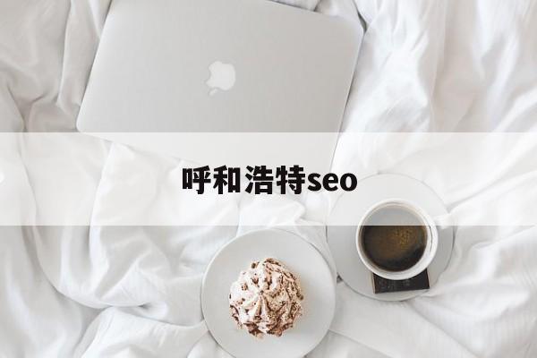 呼和浩特seo的简单介绍
