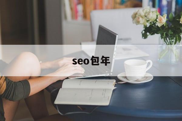 「seo包年」seo包年费和天付费哪个划算