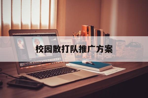 「校园散打队推广方案」学校散打队