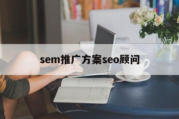 「sem推广方案seo顾问」sem推广案例