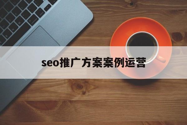 「seo推广方案案例运营」seo网站营销推广全程实例