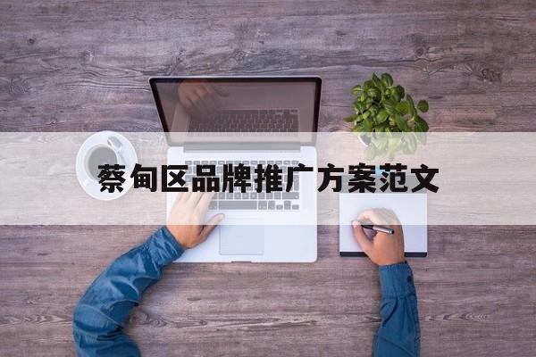 「蔡甸区品牌推广方案范文」蔡甸区品牌推广方案范文大全