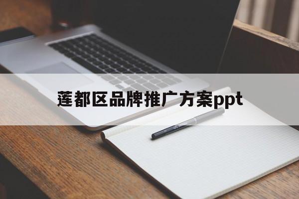 「莲都区品牌推广方案ppt」食品品牌推广方案