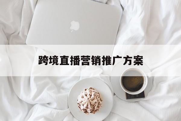 跨境电商直播怎么做推广(跨境电商引流推广