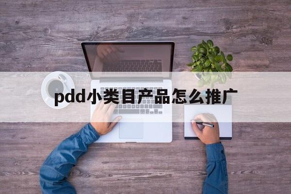 关于pdd小类目产品怎么推广的信息
