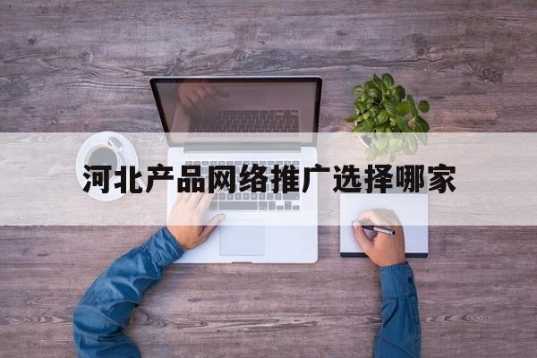 「河北产品网络推广选择哪家」河北搜索引擎营销推广平台