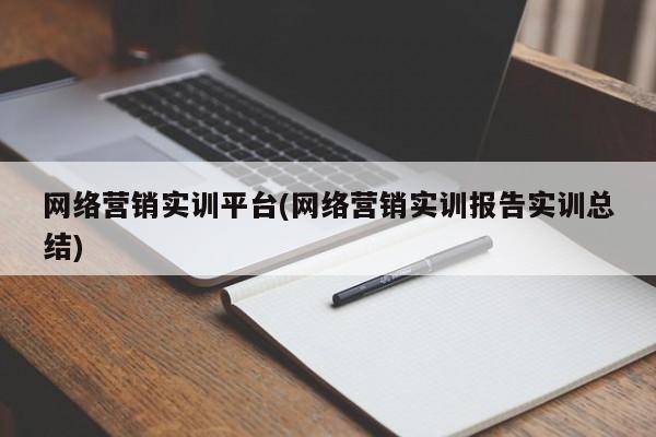 网络营销实训平台(网络营销实训报告实训总结)