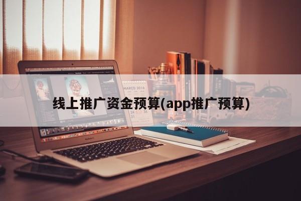 线上推广资金预算(app推广预算)