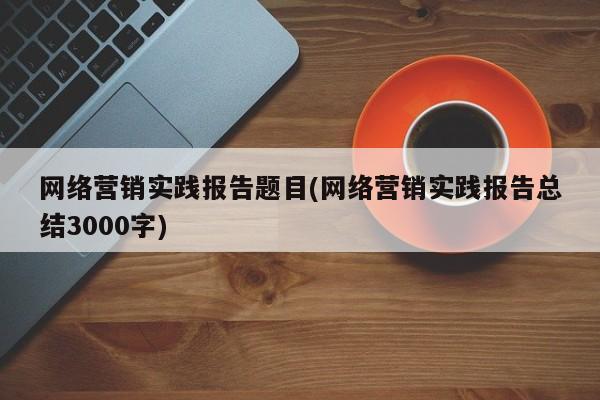 网络营销实践报告题目(网络营销实践报告总结3000字)