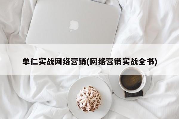 单仁实战网络营销(网络营销实战全书)