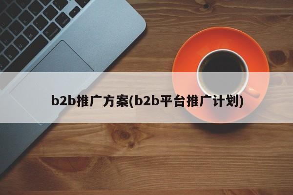 b2b推广方案(b2b平台推广计划)