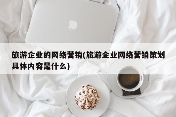 旅游企业的网络营销(旅游企业网络营销策划具体内容是什么)