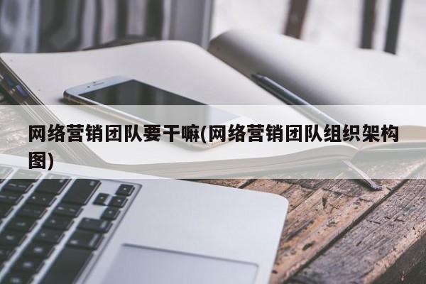 网络营销团队要干嘛(网络营销团队组织架构图)