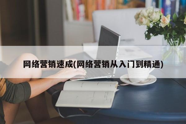 网络营销速成(网络营销从入门到精通)