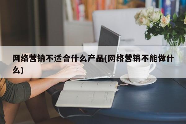 网络营销不适合什么产品(网络营销不能做什么)