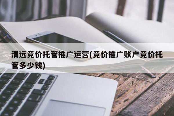 清远竞价托管推广运营(竞价推广账户竞价托管多少钱)