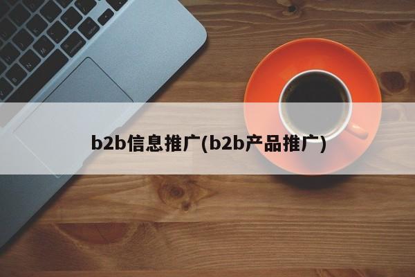 b2b信息推广(b2b产品推广)