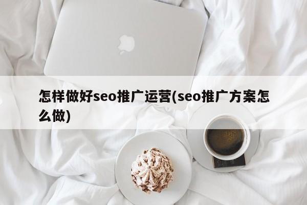 怎样做好seo推广运营(seo推广方案怎么做)