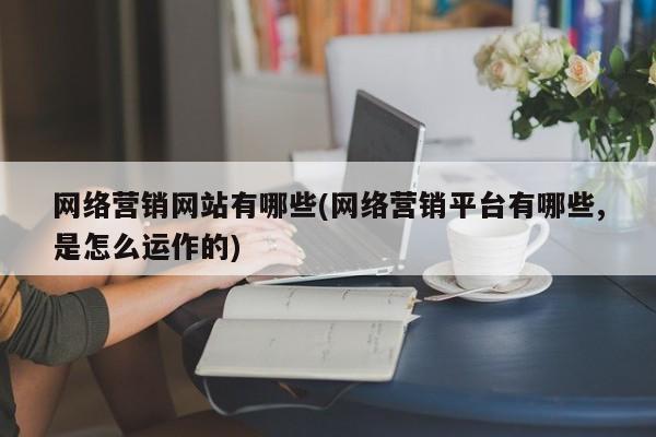 网络营销网站有哪些(网络营销平台有哪些,是怎么运作的)