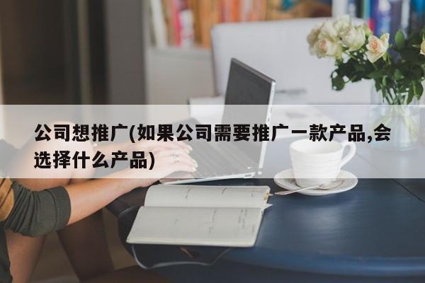 公司想推广(如果公司需要推广一款产品,会选择什么产品)