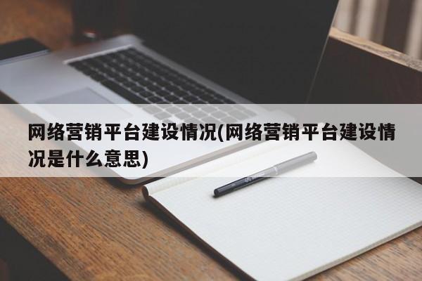 网络营销平台建设情况(网络营销平台建设情况是什么意思)