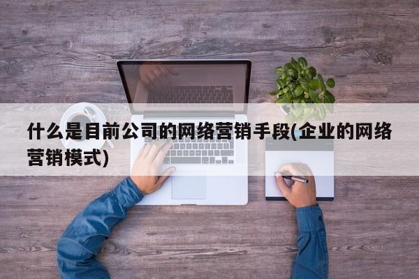 什么是目前公司的网络营销手段(企业的网络营销模式)